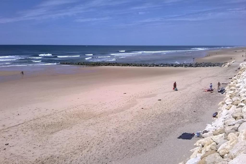 Appart' Dans Les Pins, Ocean, Lac, Piscine 라카노오세앙 외부 사진